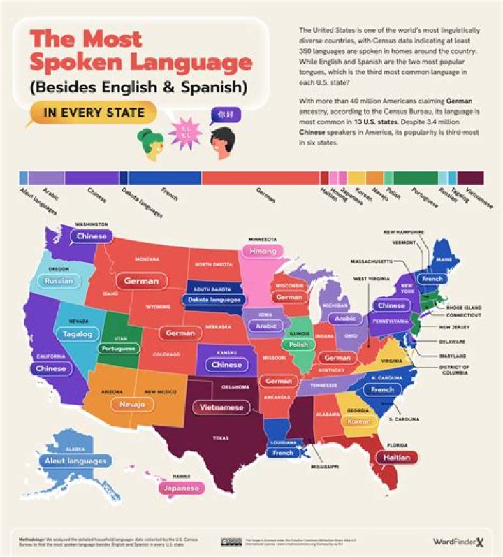 What language is nettoyer?