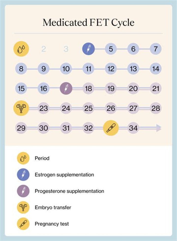 What should be the hCG level after 12 days of embryo transfer?