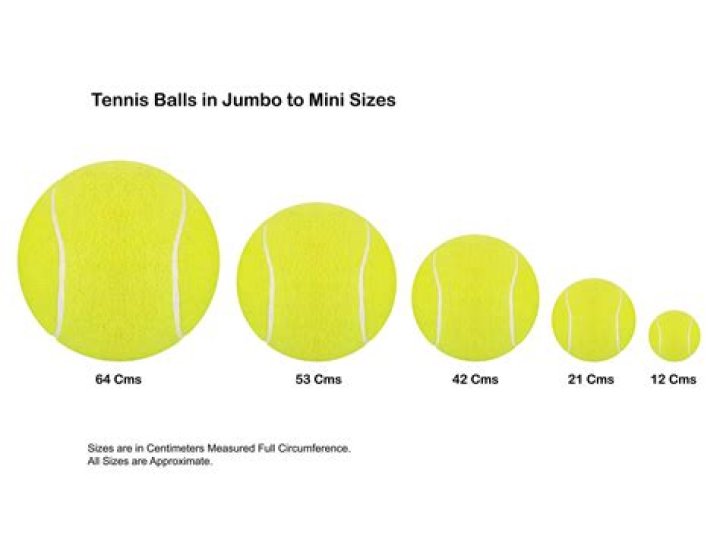 What size are mini tennis balls?