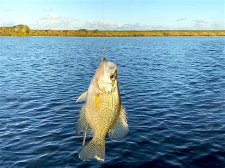 What size reel is best for crappie?