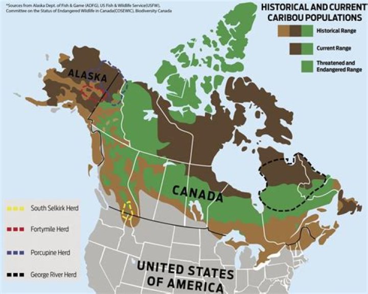 What states have caribou?