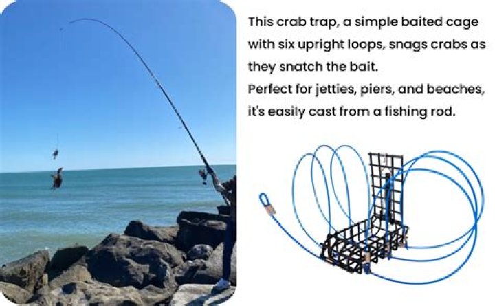 Where can I catch crabs in Pensacola?