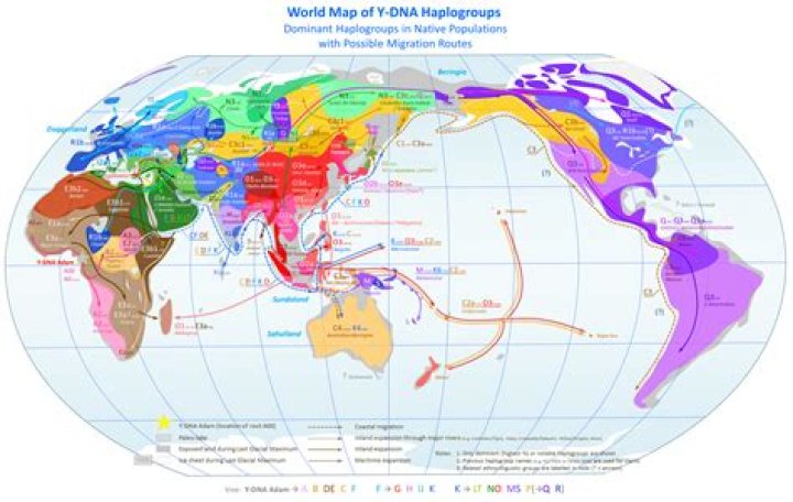 Where is haplogroup J most common?