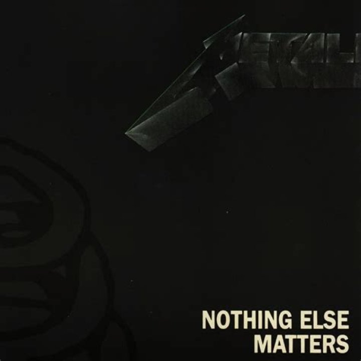 Who covered Metallica Nothing else matters?
