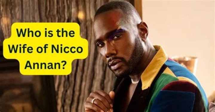 
Who is Nicco Annan’s Wife? 