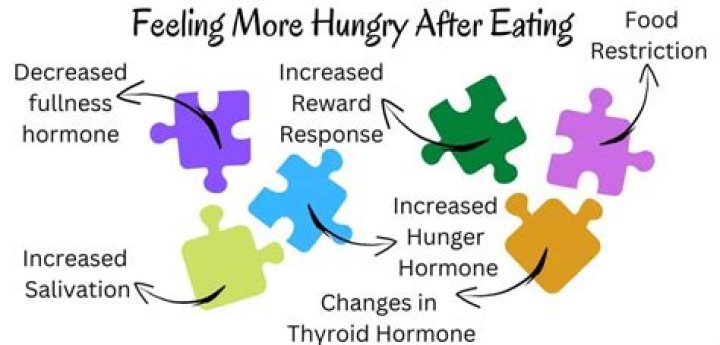 Why do I feel full after only a small amount of food?