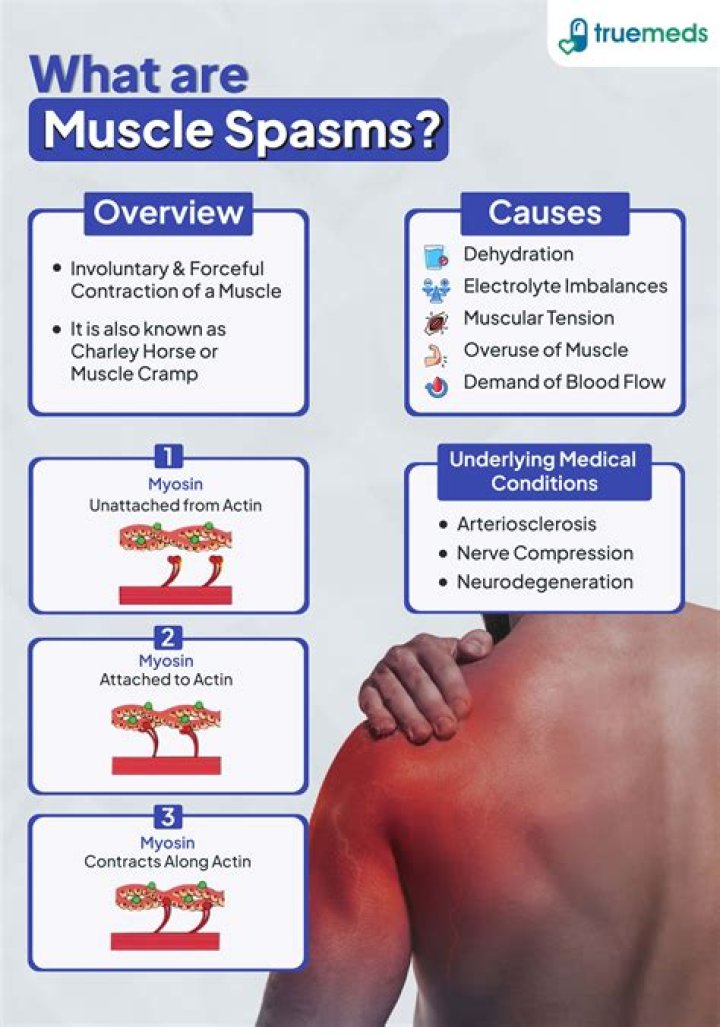 Why do I have little spasms in my stomach?