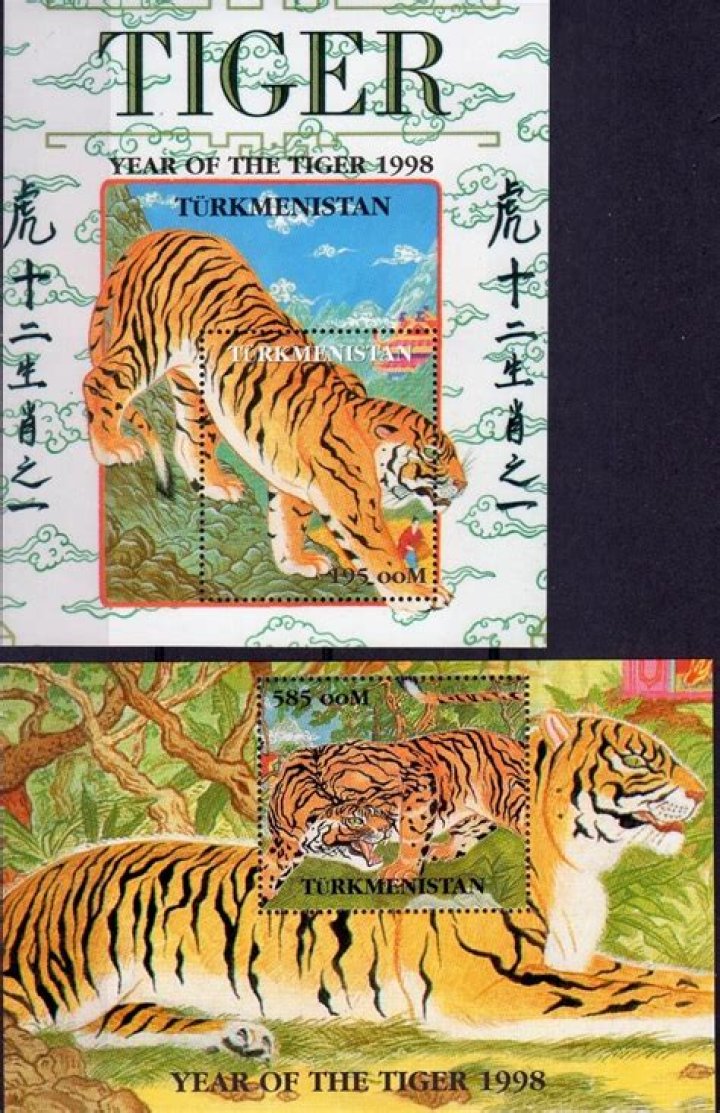 Why does Kintaro look like a tiger?