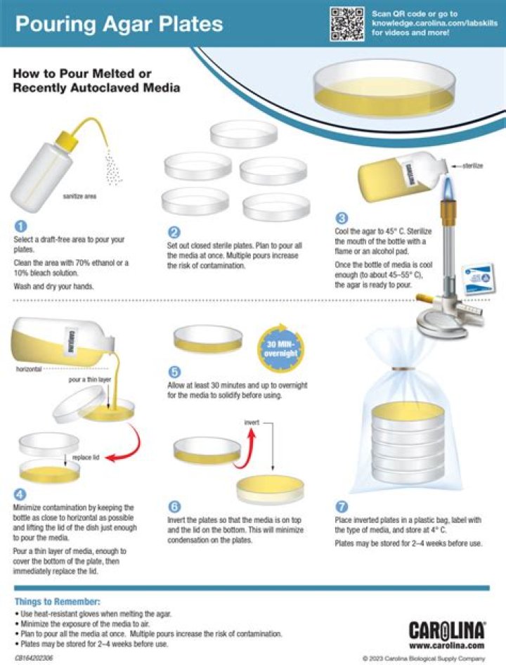 Why is agar cooled before pouring?