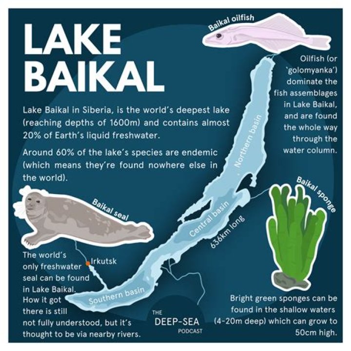 Why is Lake Baikal so weird?