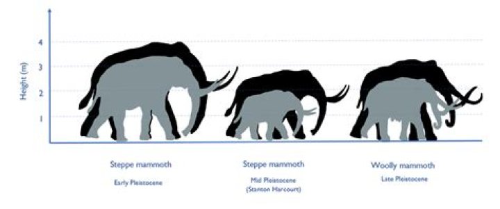Why was the mammoth steppe so productive?