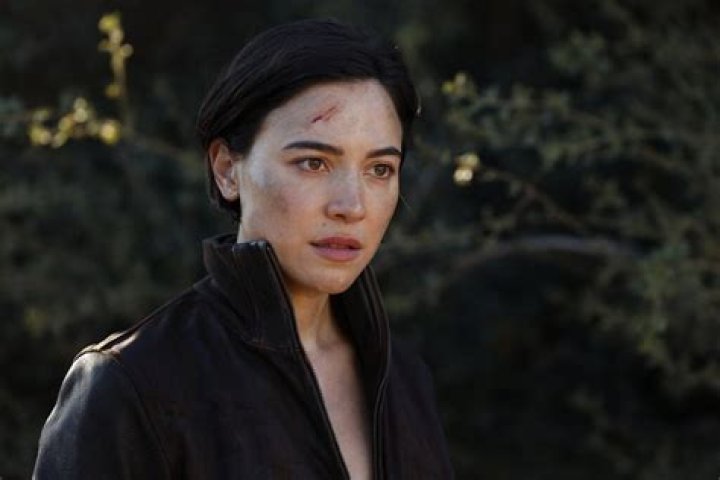 Wilder Yari Height, Weight, Net Worth, Age, Birthday, Wikipedia, Who, Nationality, Biography