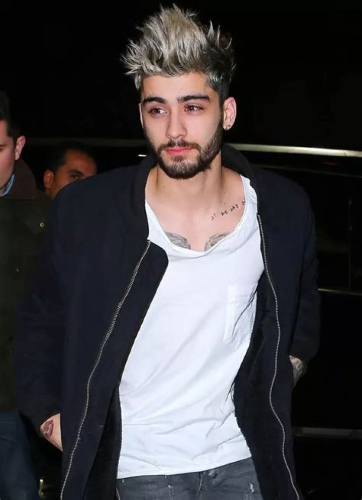 Zayn Malik On Meaning Of ‘Pillowtalk’ — Is It Just About Sex? – Hollywood Life